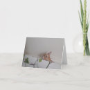 Suche nach blick karten Jede person