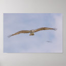 Suche nach ansteigen poster Vogel