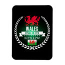 Suche nach cymru magnete Souvenir