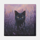 Suche nach schwarze katze magnete Bezaubernd