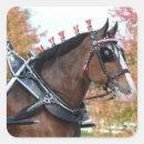 Suche nach clydesdale aufkleber Zugpferd
