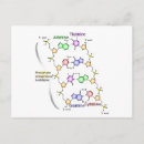 Suche nach chemische postkarten Struktur