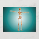 Suche nach perspektive postkarten Biologie