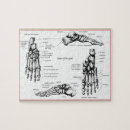 Suche nach fuß puzzle Knochen