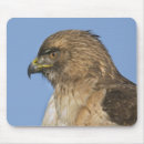 Suche nach falke mousepads Natur
