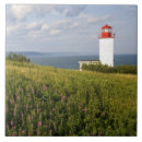 Suche nach st martin fliesen New brunswick