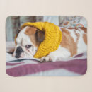 Suche nach englische bulldogge decken Liebe