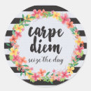 Suche nach carpe diem aufkleber Sprichwort