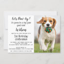 Suche nach pets einladungen Hunde