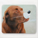 Suche nach nasen mousepads Hund