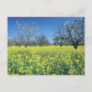 Suche nach apfelbaum postkarten Blume