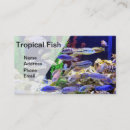 Suche nach bunte fische visitenkarten Wasser