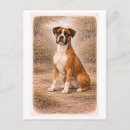 Suche nach boxerhund postkarten Haustier