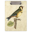 Suche nach vogel klemmbrett Ast