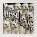 Suche nach meerkat puzzle Mekka