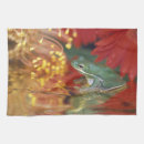 Suche nach amphibien geschirr tücher Natur