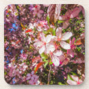 Suche nach sonne untersetzer Natur