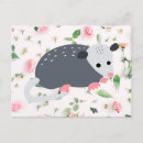 Suche nach opossum postkarten Müllpanda