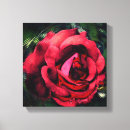 Suche nach rose abstrakt leinwandbilder Blume