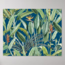 Suche nach strelitzia poster Für alle
