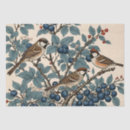 Suche nach spatz Jede person