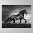 Suche nach stallion poster Schwarz