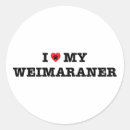 Suche nach weimaraner aufkleber Welpe