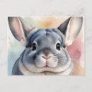 Suche nach chinchilla postkarten Aquarell