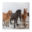 Suche nach equus caballus fliesen Atlantisch
