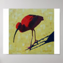 Suche nach ibis poster Rot