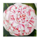 Suche nach rosa kamelie untersetzer Aquarell