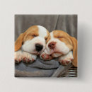 Suche nach tierthemen buttons Haustier