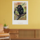Suche nach zoologische poster Illustration