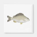 Suche nach salzwasser magnete Australie