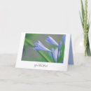 Suche nach blauer text karten Für alle