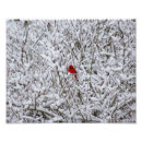 Suche nach winter fotodruck Schnee