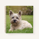 Suche nach schnauzer kleine notizbücher Terrier