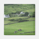 Suche nach kerry magnete Irland