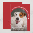 Suche nach lustiges hundefoto karten Haustier