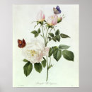 Suche nach strauch poster Pflanze