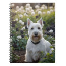 Suche nach haarig kleine notizbücher Hund