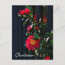 Suche nach camelia Blumenreich