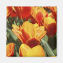 Suche nach keukenhof magnete Niederlande