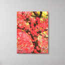 Suche nach ahorn leinwandbilder Herbst