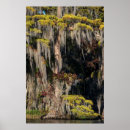 Suche nach spanisches moos poster Landschaft