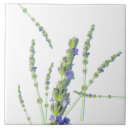 Suche nach lavendel blume fliesen Lila