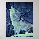 Suche nach winterwald poster Tier