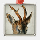 Suche nach rotwild ornamente Tier