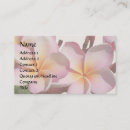 Suche nach plumeria visitenkarten Exotisch