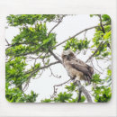 Suche nach eulen foto mousepads Jede person